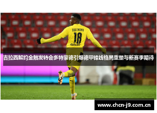 吉拉西解约金触发转会多特蒙德引爆德甲锋线格局重塑与新赛季期待 吉拉西解约金触发转会多特蒙德引爆德甲锋线格局重塑与新赛季期待